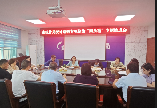 市统计局召开统计造假专项整治“回头看”专题推进会