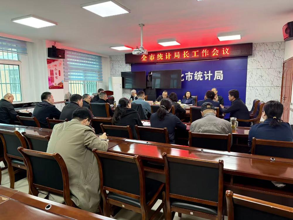 市统计局召开全市统计局长工作会议
