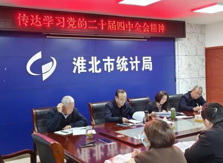 市统计局传达学习党的二十届四中全会精神